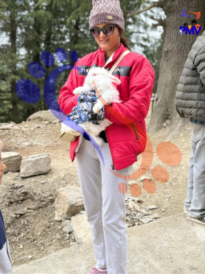 Plan my vacation customer review