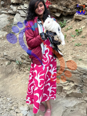 Plan my vacation customer review